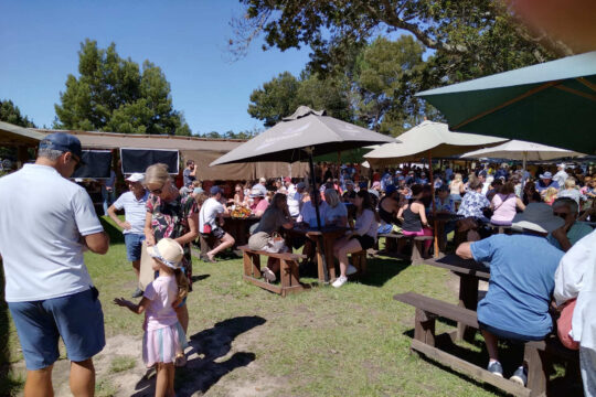 Hakerville Saturday Market